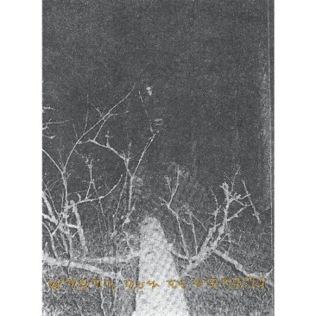 mortiis the song of a long forgotten ghost a5 digicd